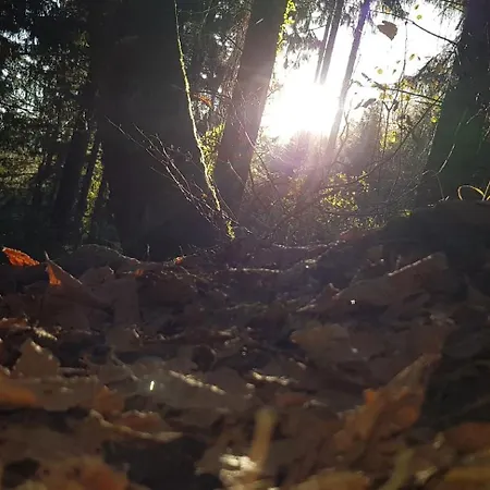 Traunseestrand * Ebensee
