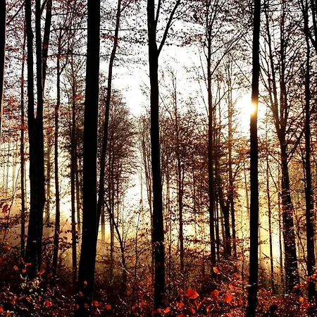 Traunseestrand Ebensee