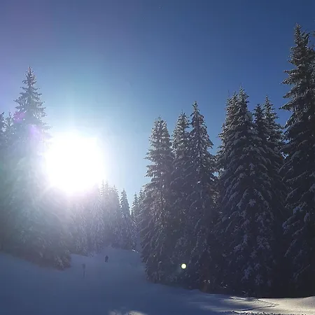 Traunseestrand Σπίτι διακοπών *