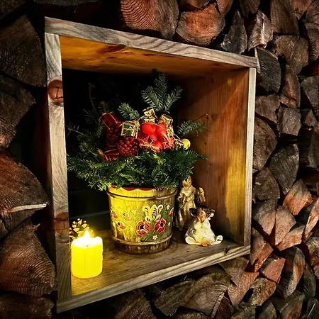 Prázdninový dům Traunseestrand *