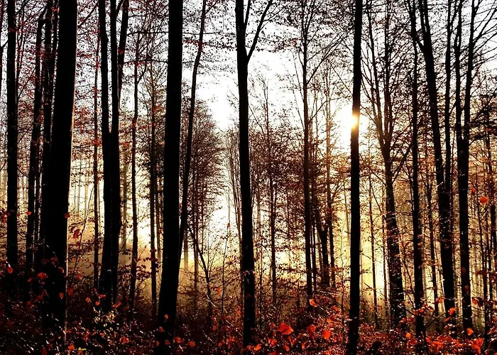 Traunseestrand Ebensee