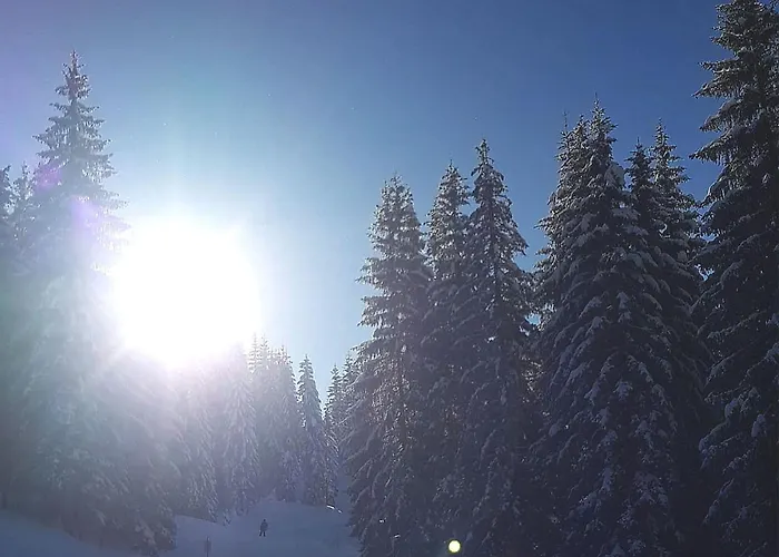 Traunseestrand Дом отдыха *