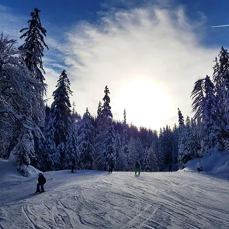 Dom wakacyjny Traunseestrand Ebensee