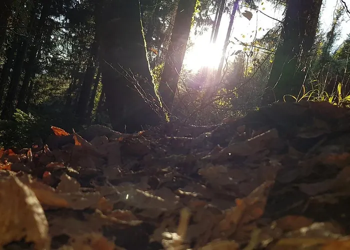 Traunseestrand * Ebensee